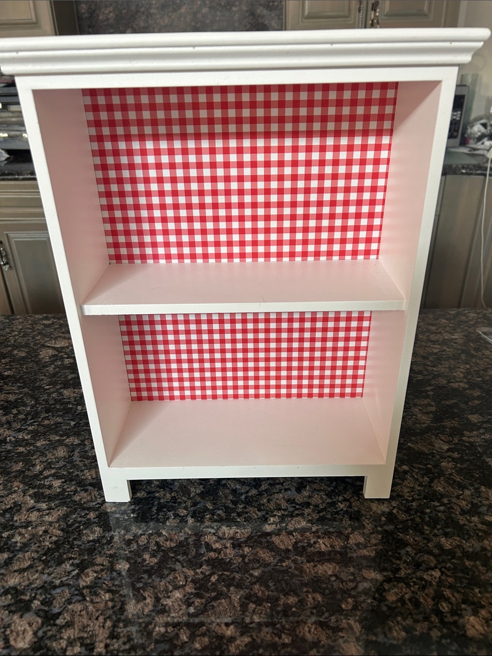 CELEBRATE IT 25.75@ TED & WHITE GINGHAM CABINET NWT